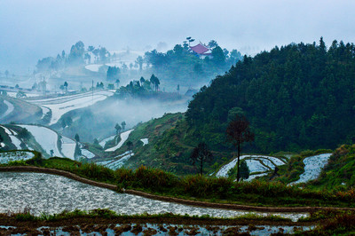 溫州永嘉茗岙梯田DSC_3203 - 喬峰 - 圖蟲攝影網