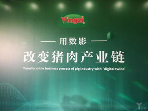 豬臉識別 這家企業如何以工業互聯網數據服務推動農業智能化落地